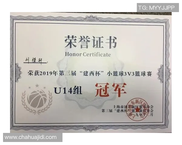 杭州篮球队在冠军赛中的意识表现分析与总结